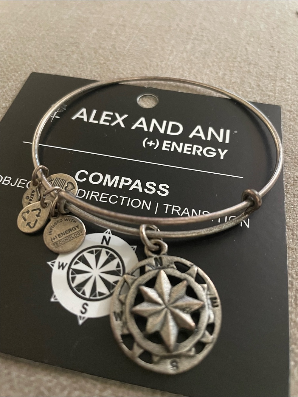 Alex and Ani Antique Silver Compass Charm Bangle